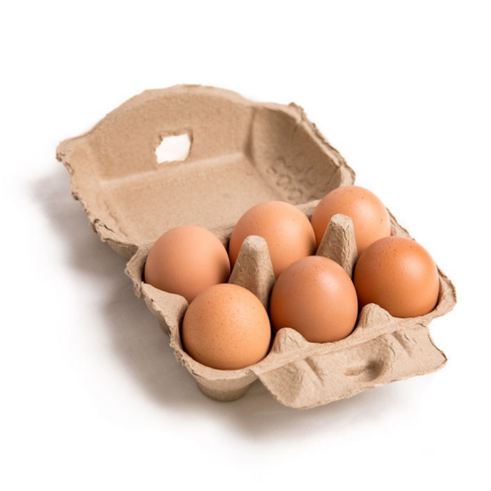 Half Dozen (6) Eggs - Large Grade - Pasture Poultry Organic Free Range Eggs